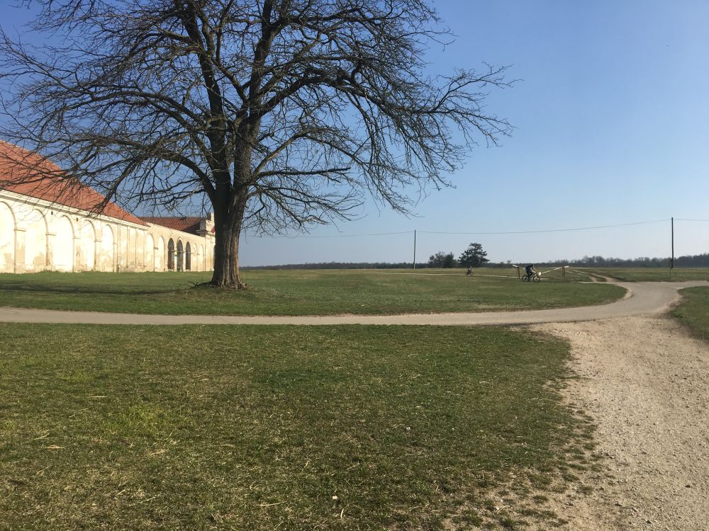 Dojezd z Nového dvoru, ta závora, tu zkusila Adélka podjet, nepovedlo se.