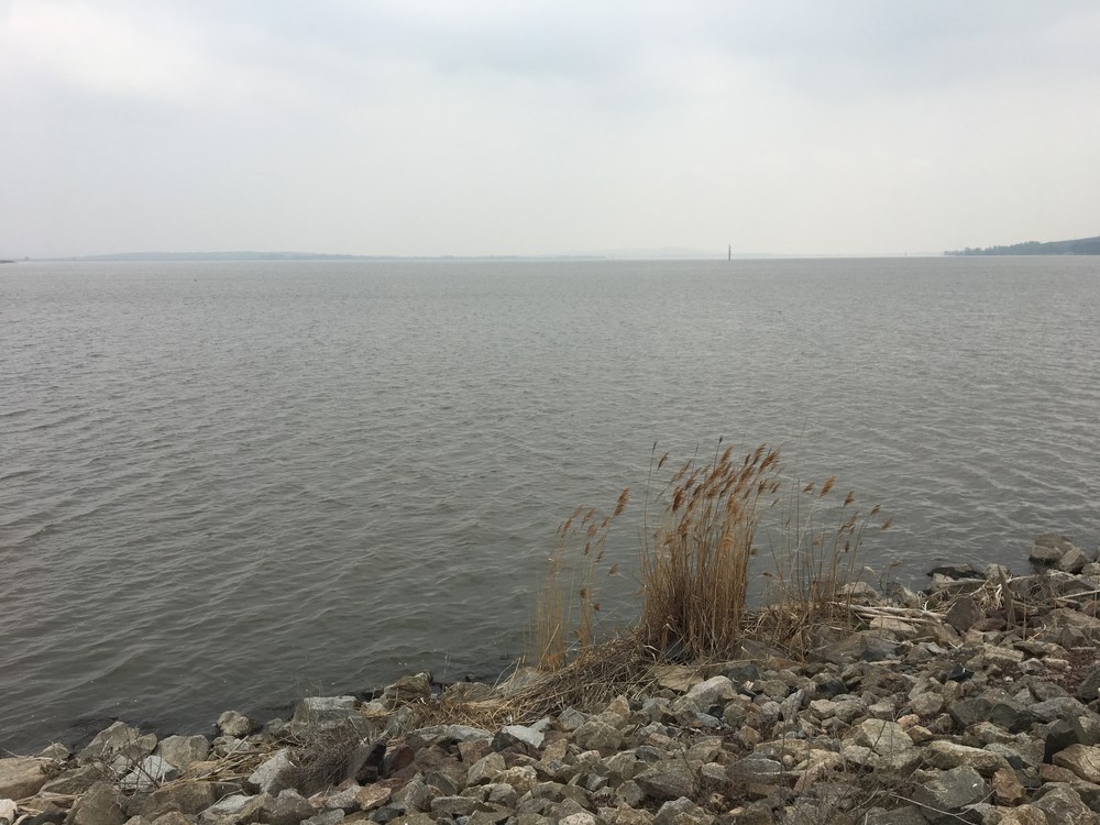 Ty trávy přesně ukazují směr větru