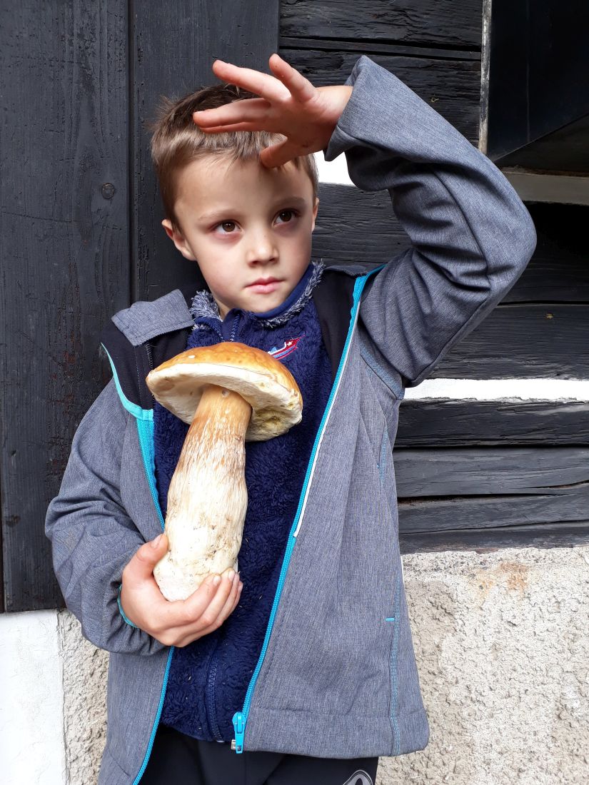 Náš velký houbař