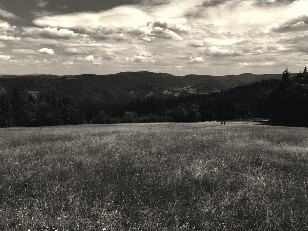 Ze Slavíče k Malému polomu