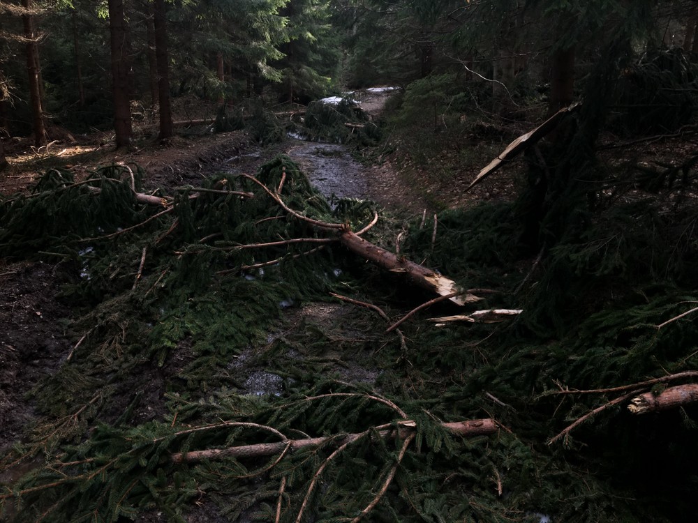 Kolem Kalužného trošku boj na tom kole 