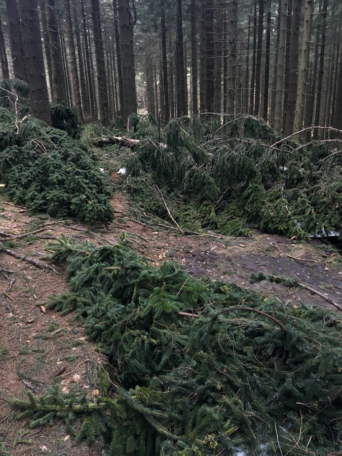 Hřeben na Javorový