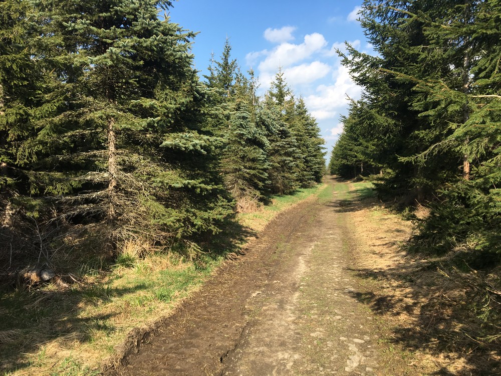 Sjezd z Velkého Javorového