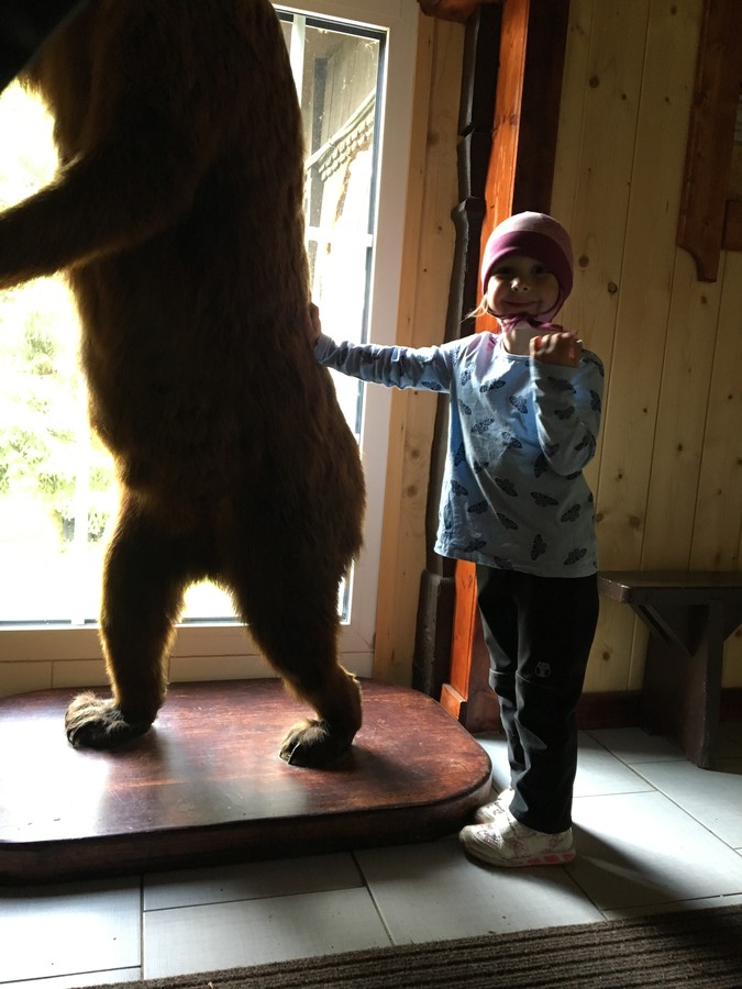 Už se nebojím medvěda