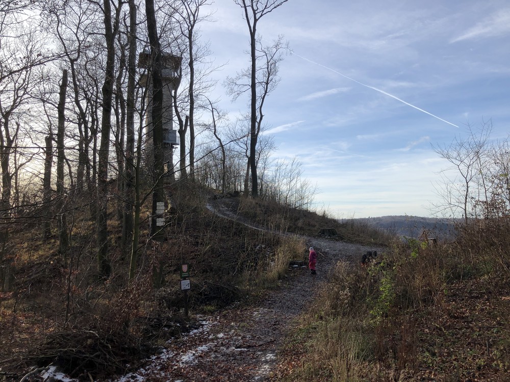 Alexandrova rozhledna