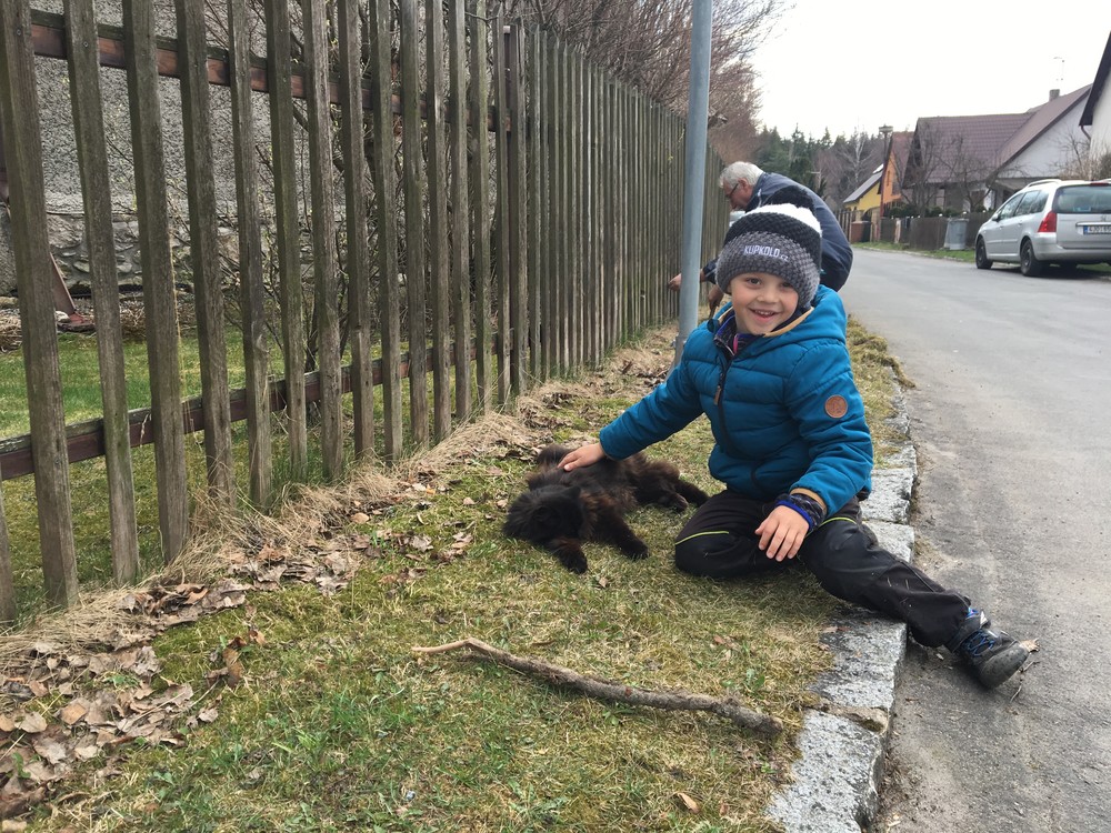 Děda spravuje plot, Matýsek hladí kočku, nakonec ho škrábla