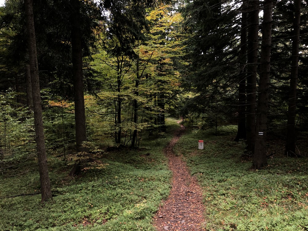 Značím trasu na hřebeni po hranicích