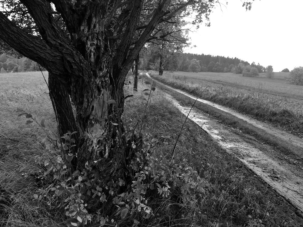 Prší, fouká, jsem promočený a je mi zima. Zbývá mi vyznačit ještě 10km