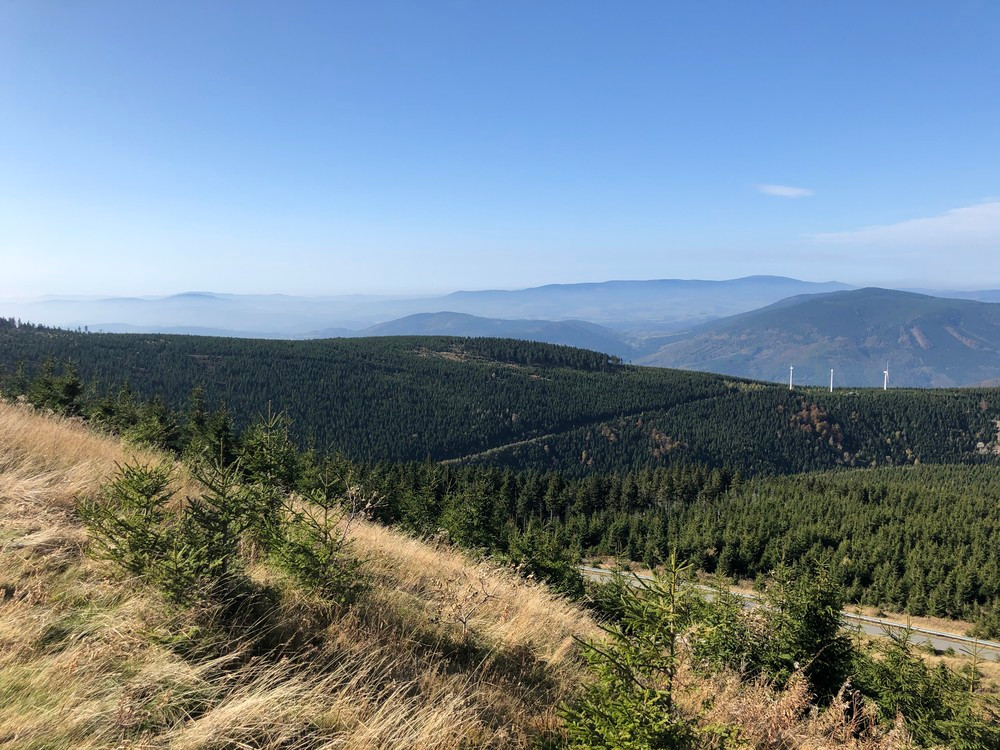 Tam někde vzadu jsou Rychleby