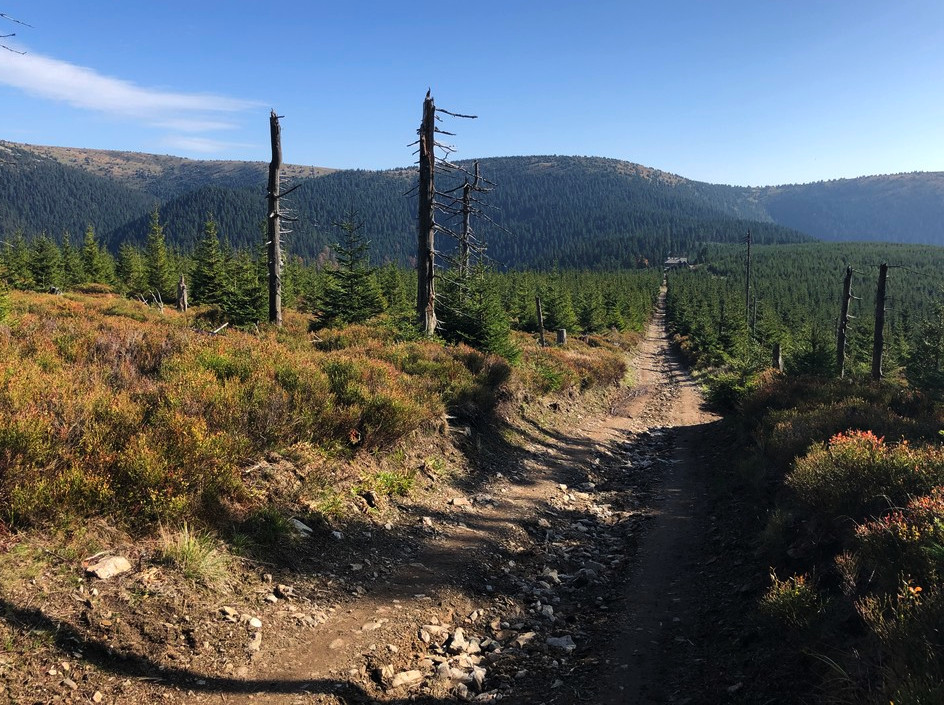 Františkova myslivna, vzadu Velký Máj