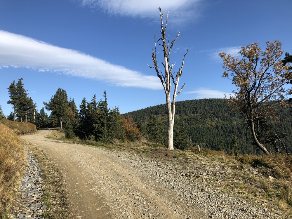 A jsem na hlavním Jesenickém hřebeni