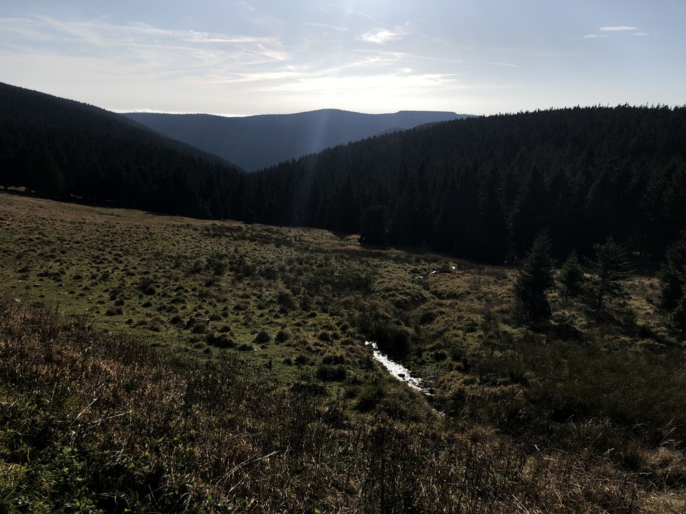 Výhled na Česnekový důl od Švýcárny