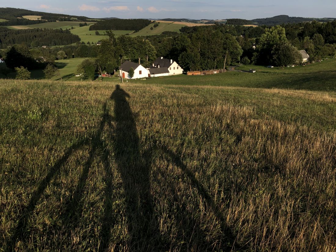 Milovy ve zlatém Světle