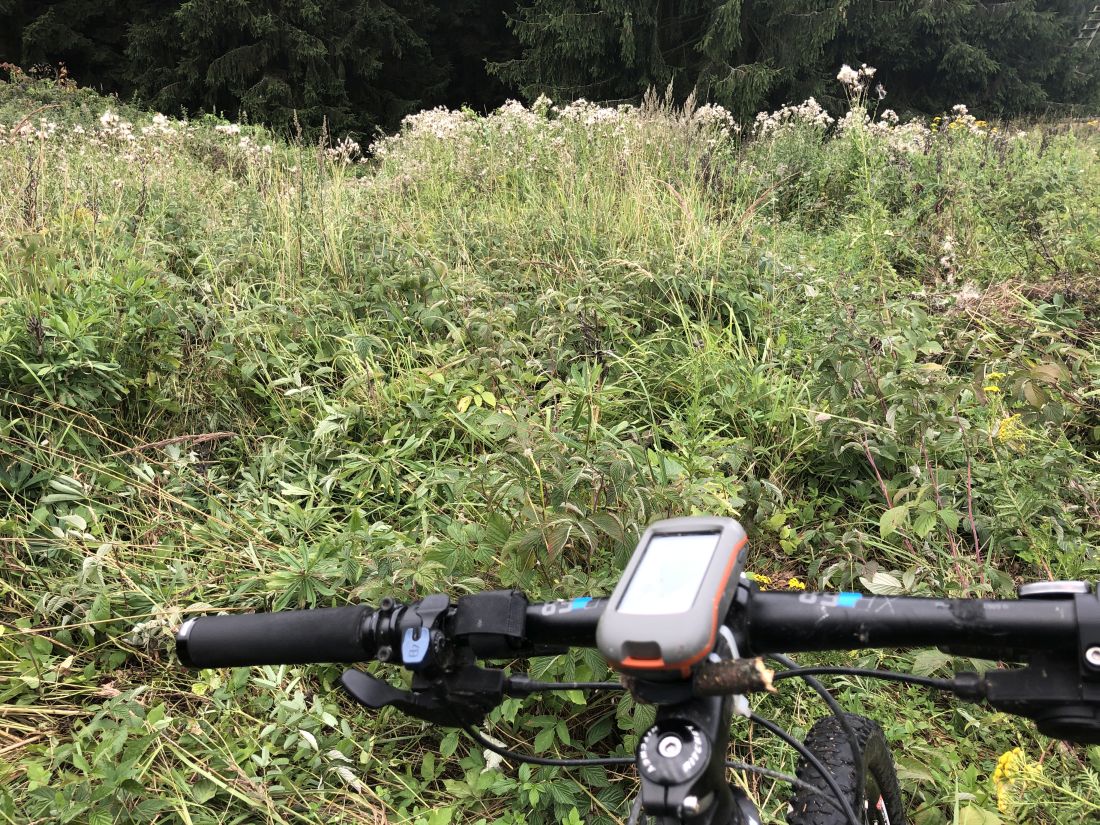 S GPS si člověk užije opravdovou divočinu