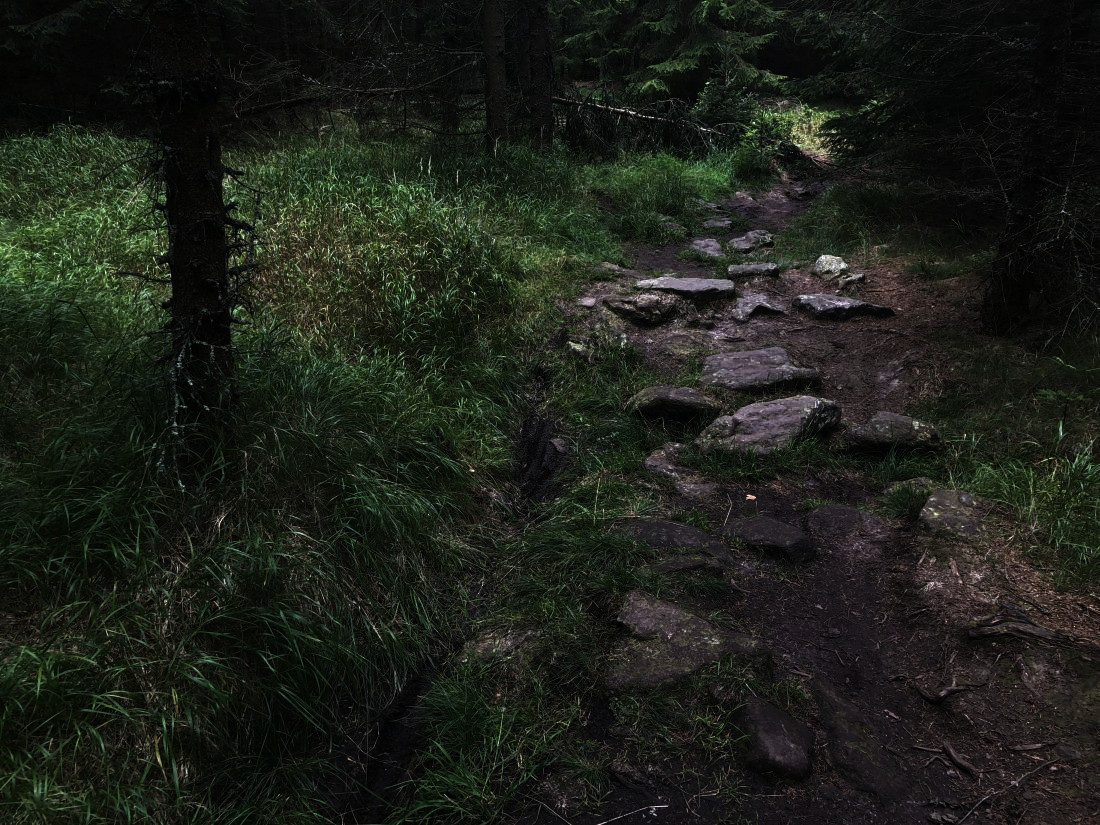 Těžším terénem na Paseckou skálu