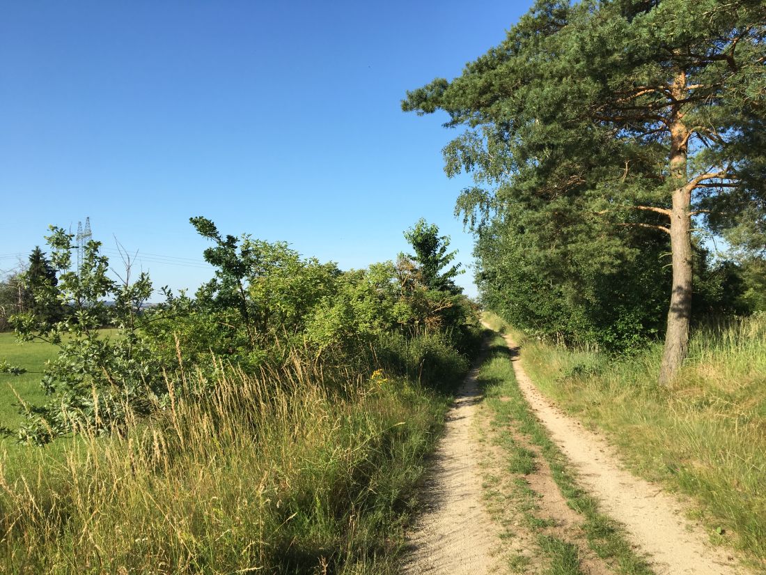 Po takových pěkných cestách