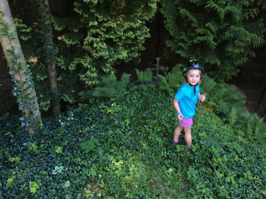 Lesní kaplička a jahody