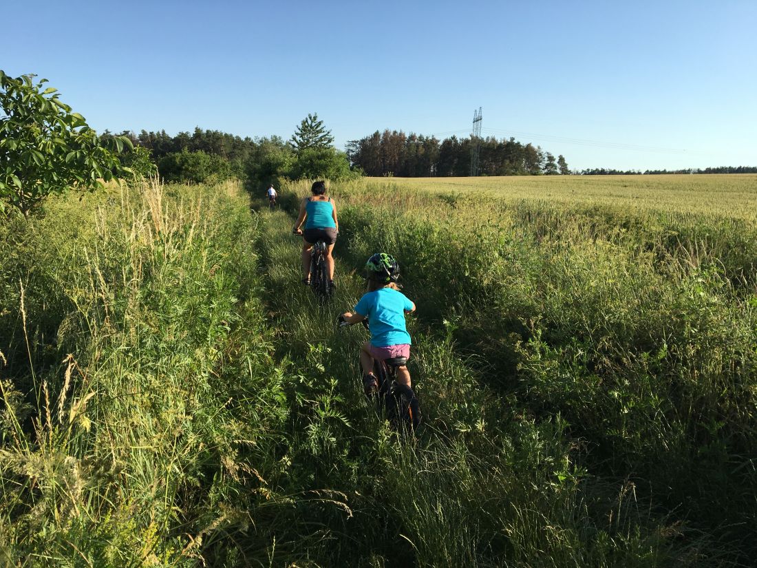 Následoval zarostlý úsek, čekal jsem větší protesty