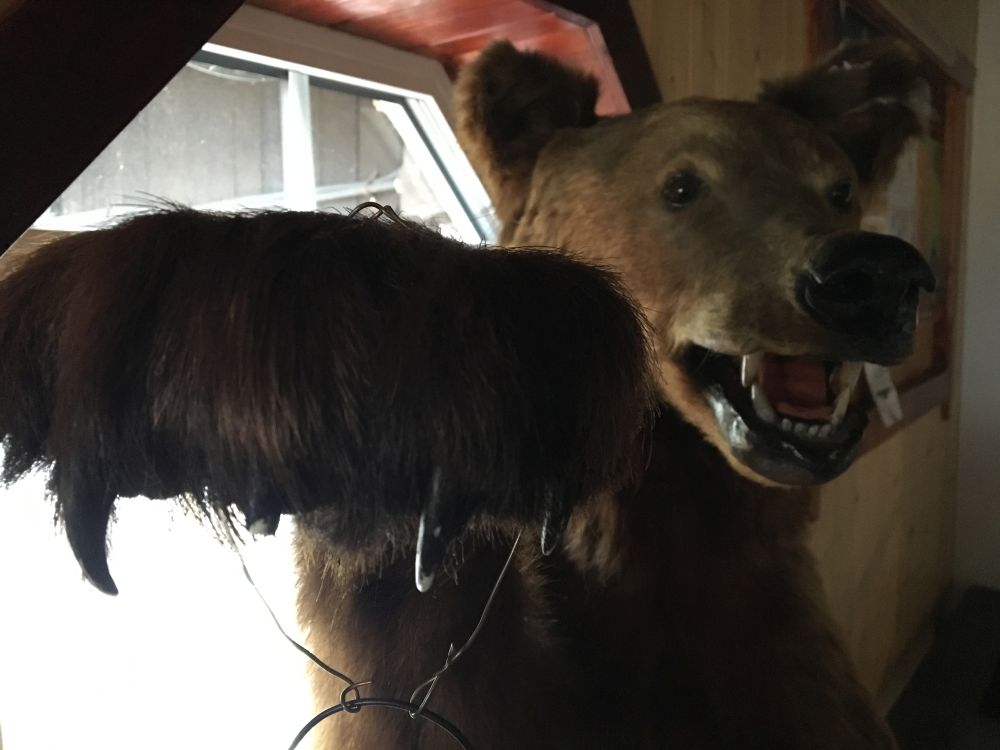 Medvěd za vstupními dveřmi děti tak vyděsil, že jsme se do chaty nemohli dostat