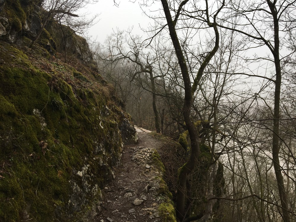 Rozcvička kole Brněnské přehrady