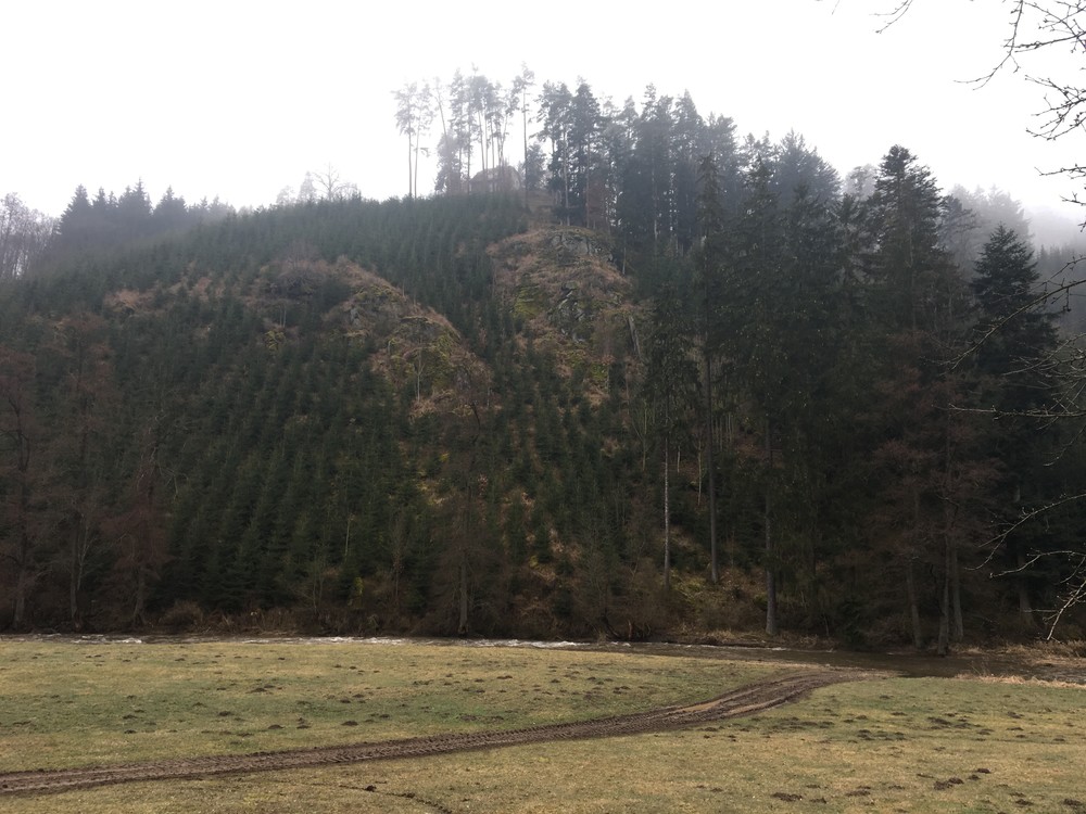 Divočina se blíží