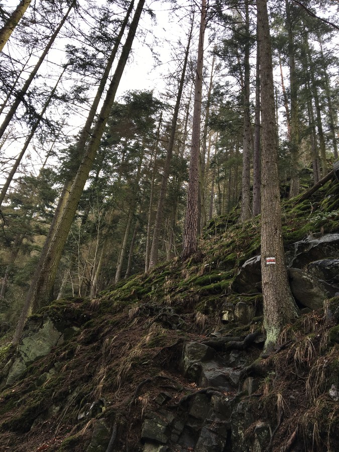 I pěšky je to výzva, zvlášť když je vše mokré