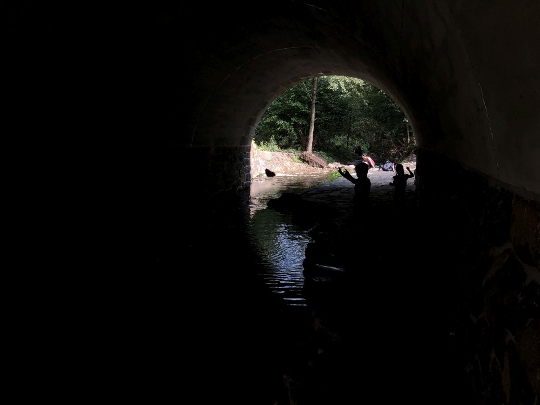 Děcka se čvachtají, já zkoumám okolí