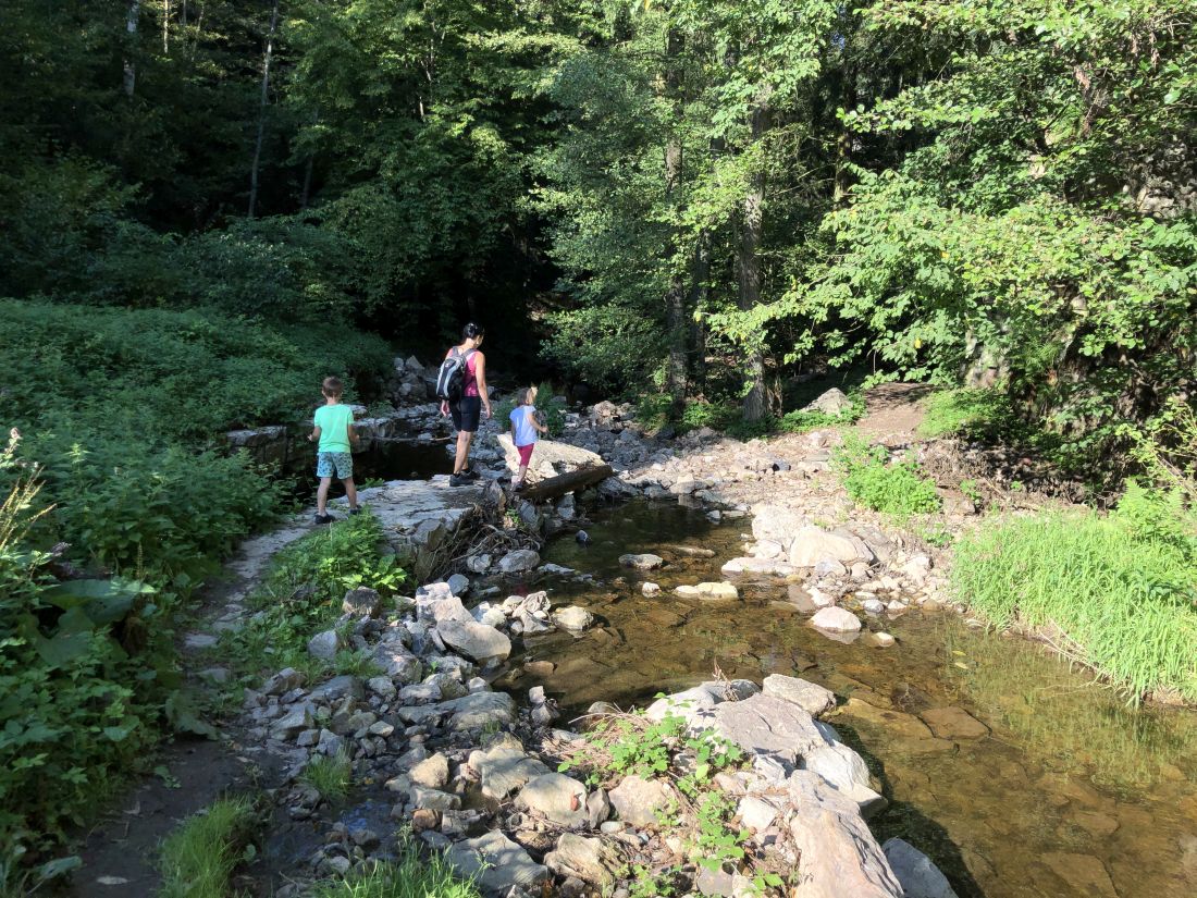 Jeden z mnoha brodů Haldy