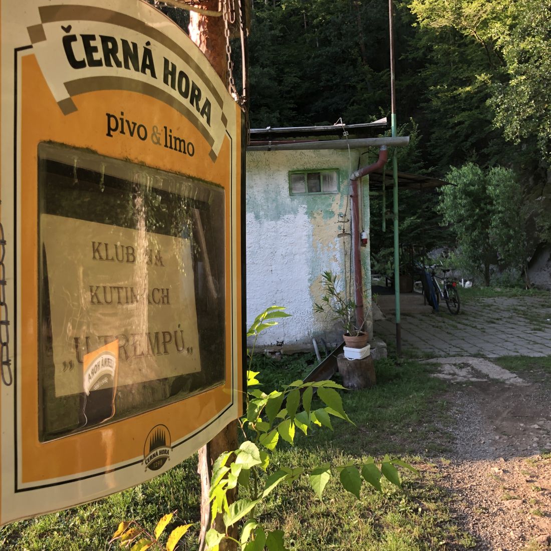 Trampové nevymřeli