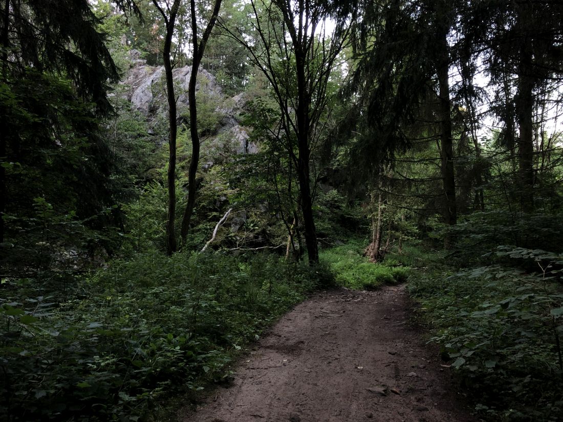 Skály pod Říkonínem