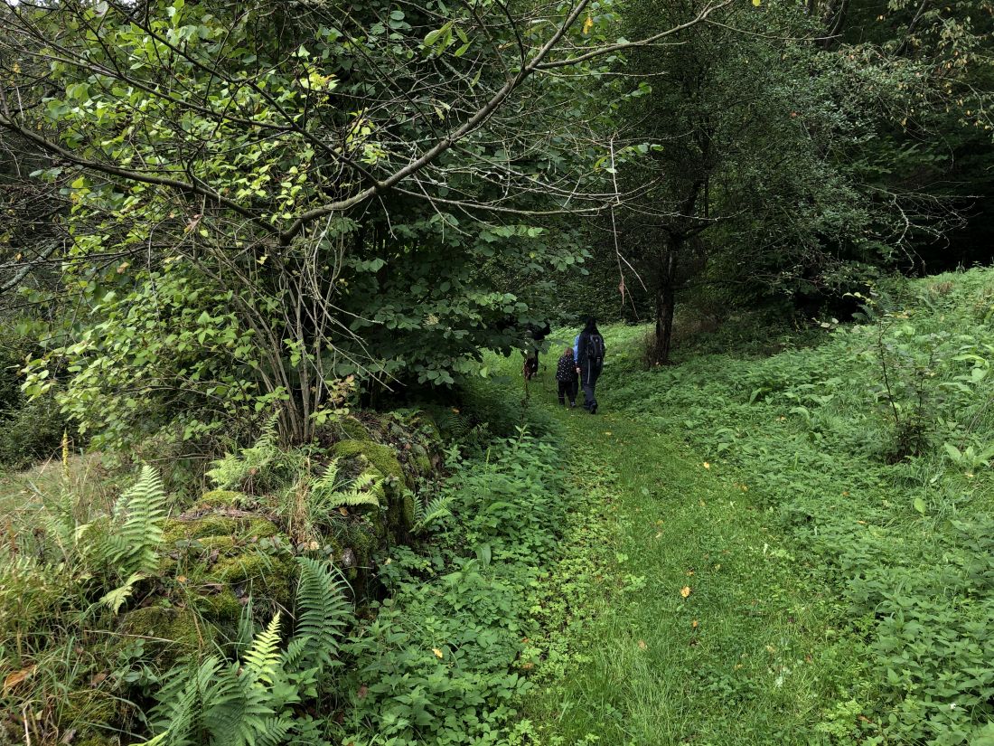 Po staré nenápadné neznačené cestě