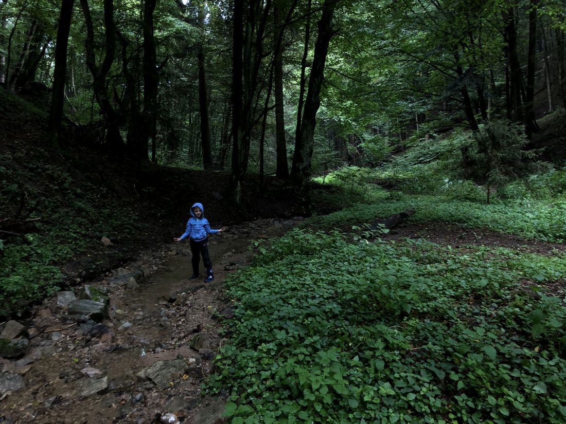 Mates rýžuje zlato