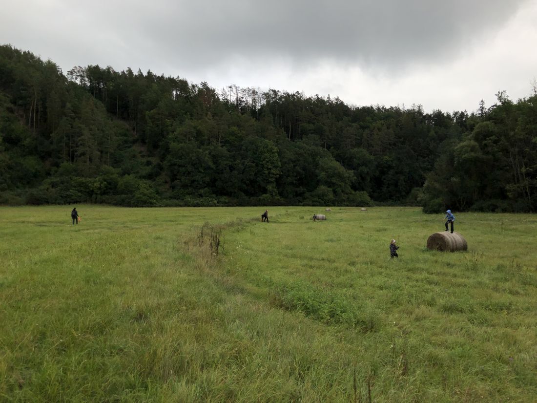 Každý na svém kousku louky