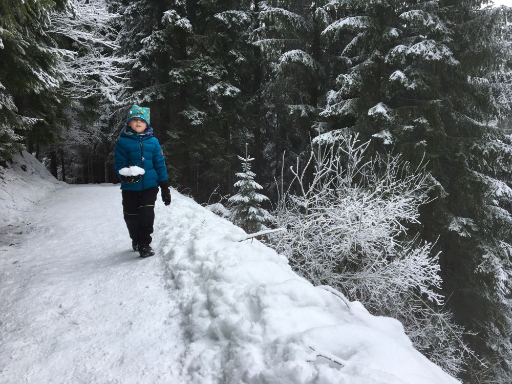 Koulování, spolehlivá motivace