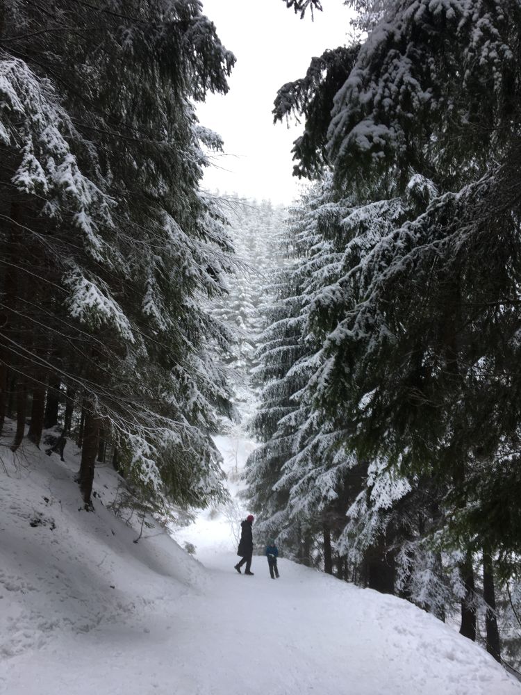 Z Křížových cest na Bílý kříž