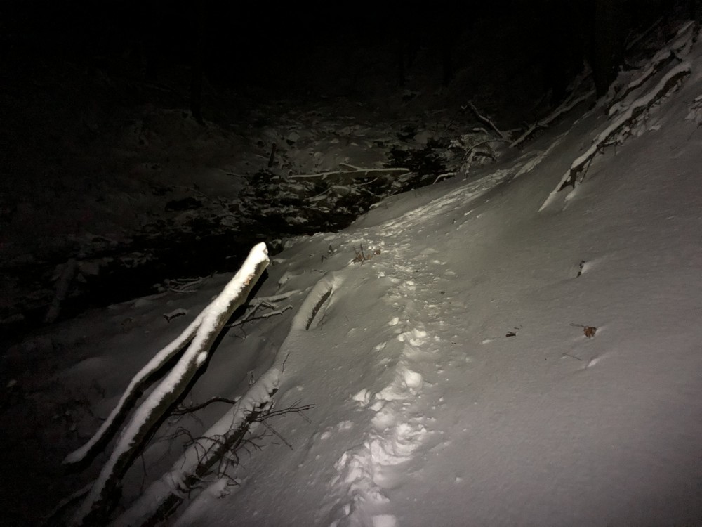 Obnovili modrou značku z Tyry od hájovny, to místo, kde se přechází potok mám rád