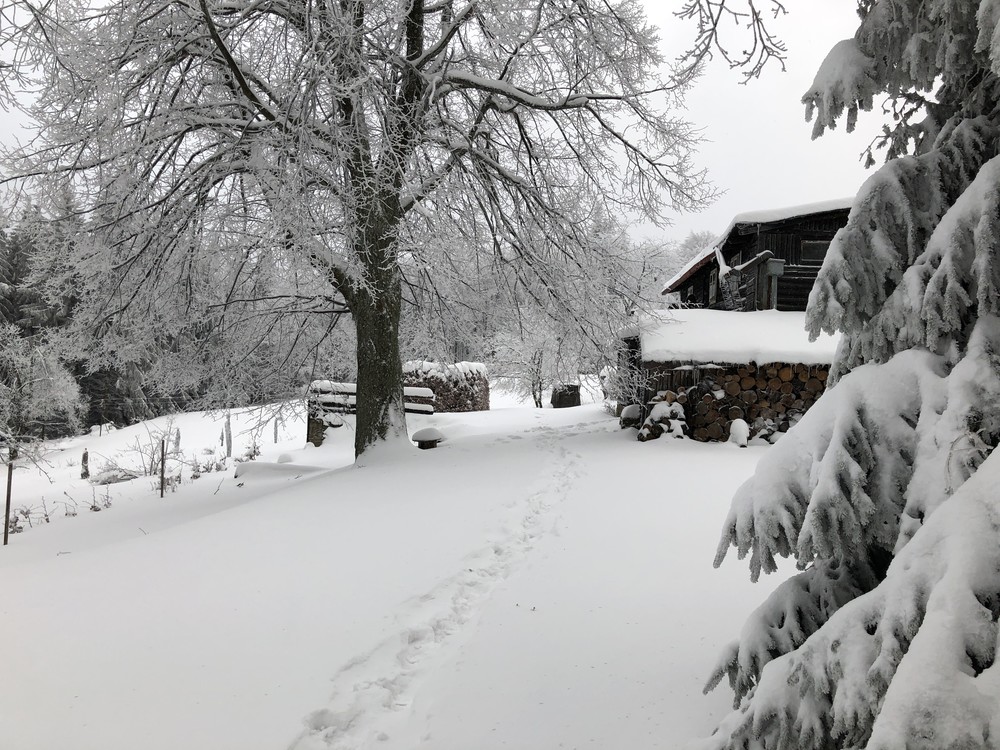 A utíkám (doslova) dolů do Tyry, za rodinkou