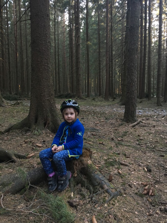 Adélka. Stromy na ni mluví