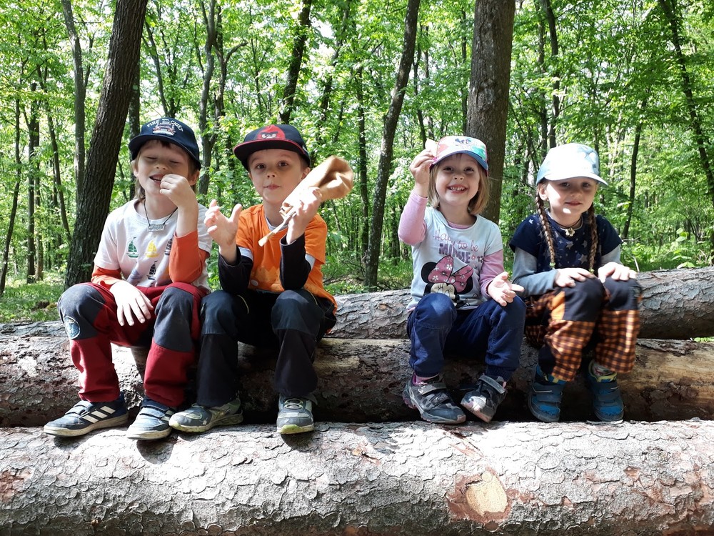 Dnes se chystá výlet do Krasu