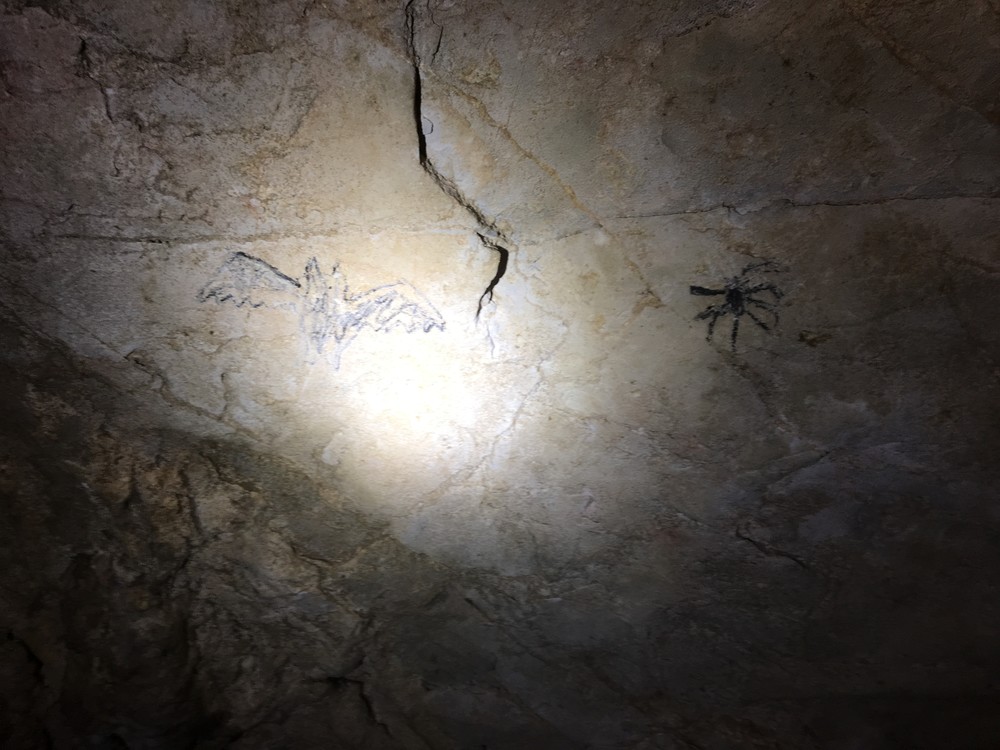 Nálezy jeskynních maleb, Matýsek se nedal odbýt a musel jsem to vyfotit