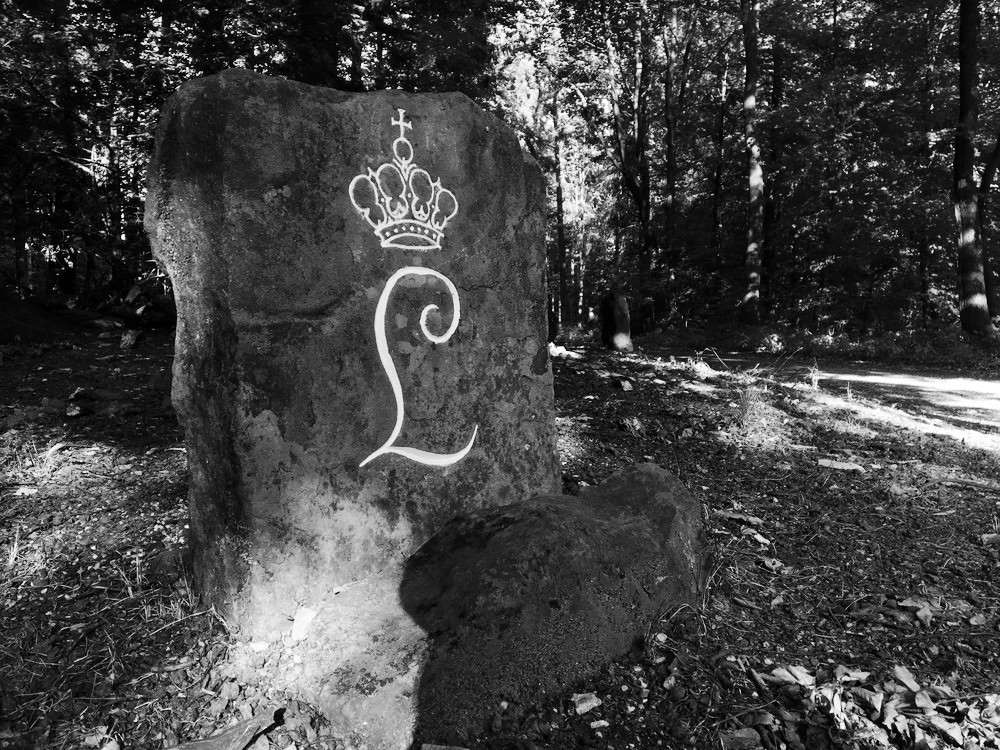 V lesích nad Heidelbergem