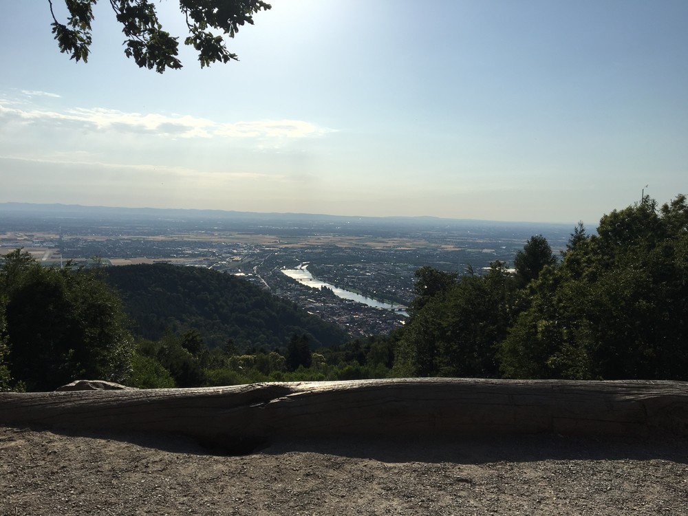 Taky klasika - vylídka na Heidelberg, krásně tady foukal vítr