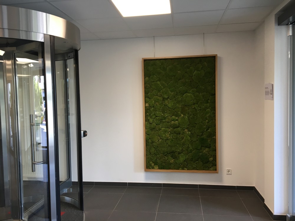 Mechový obraz v Building 54