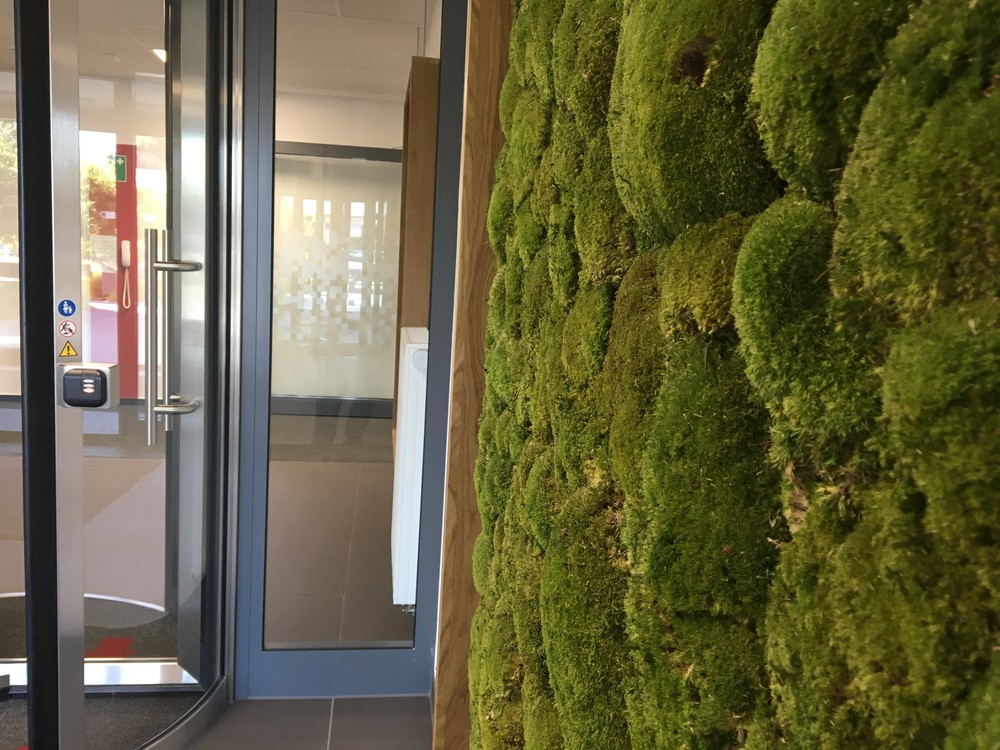 Mechový obraz v Building 54