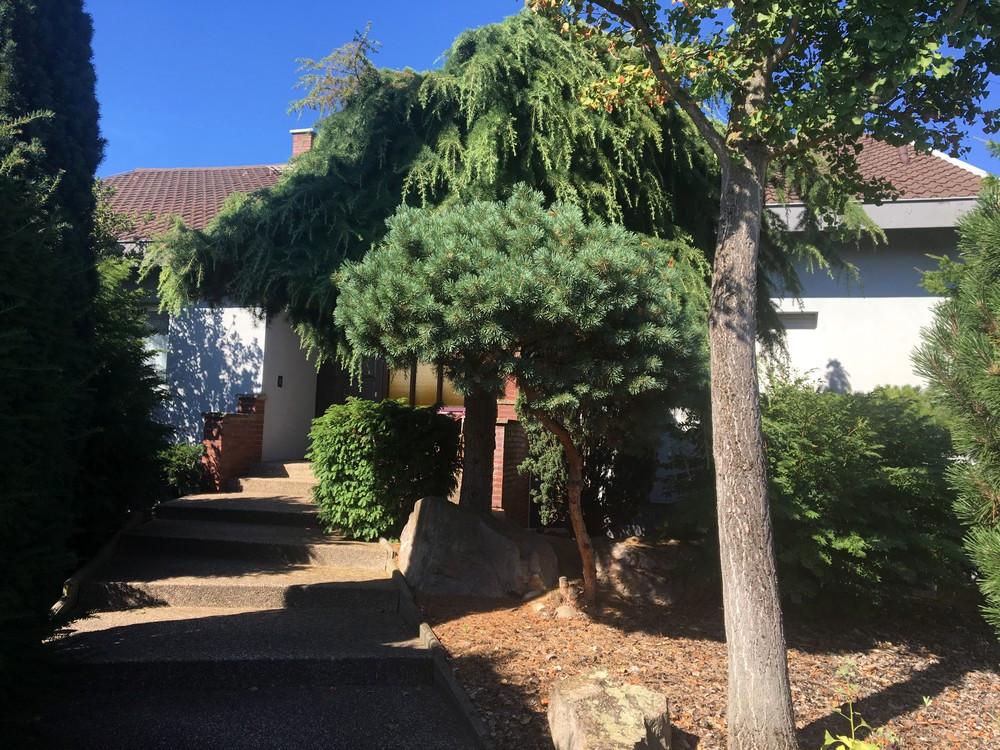 Ještě pár schodů a jsem v domečku