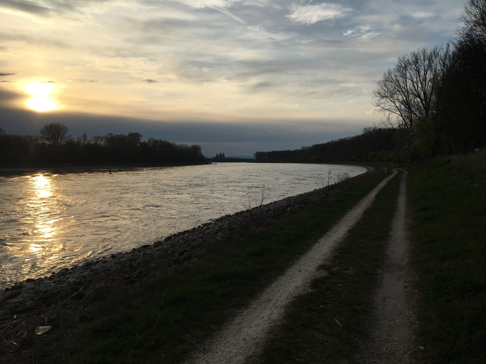 První pohledy na Rýn