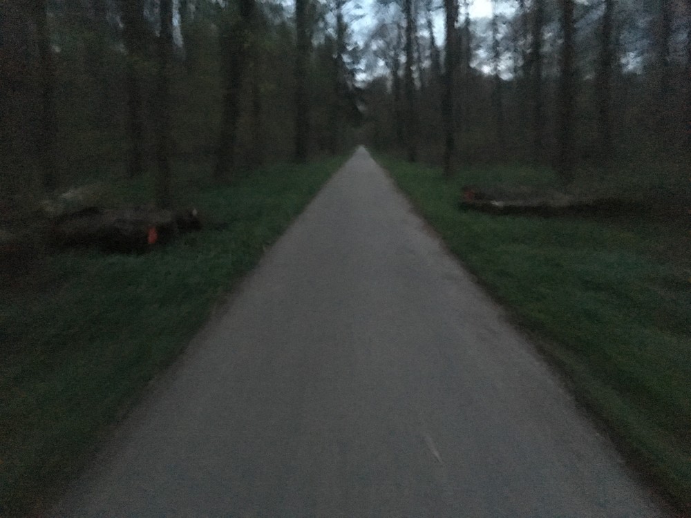 Lesní tmou se blížím domů do Walldorfu