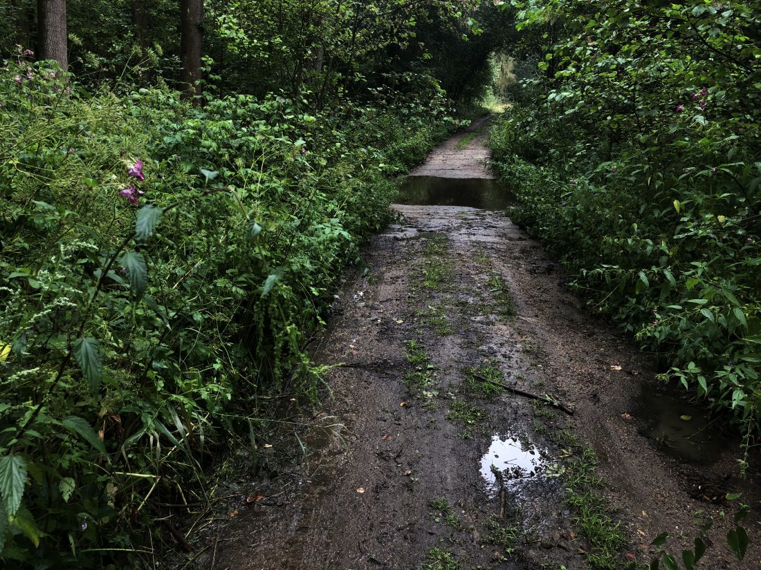 První brod, další následovaly