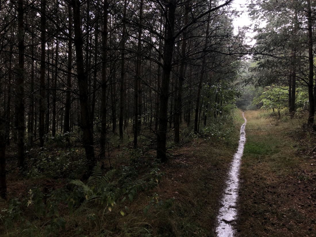 Tady šlapu v bouřce a hodně hustém lijáku