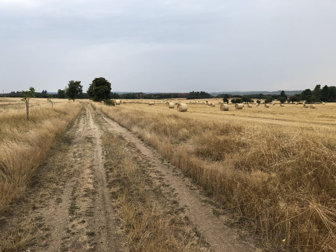 Tady se dalo jet rychle